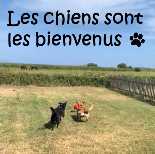 Les chiens sont les bienvenus