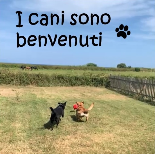 I cani sono benvenuti